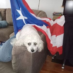 Meet your Posher, Leopoldo